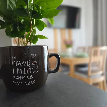 بيت للعطل Family House Witów